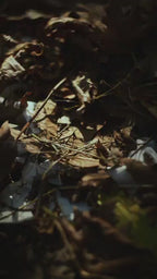 Huna gaza tshirt (unisex)